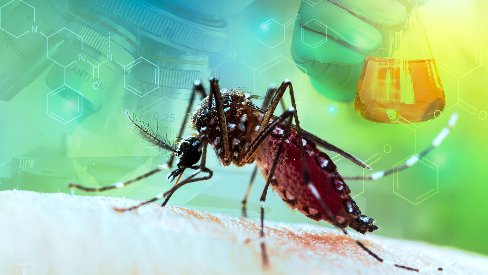 Investigación de científicos argentinos descubrió que los mosquitos del dengue se volvieron resistentes a la fumigación gracias a una mutación genética