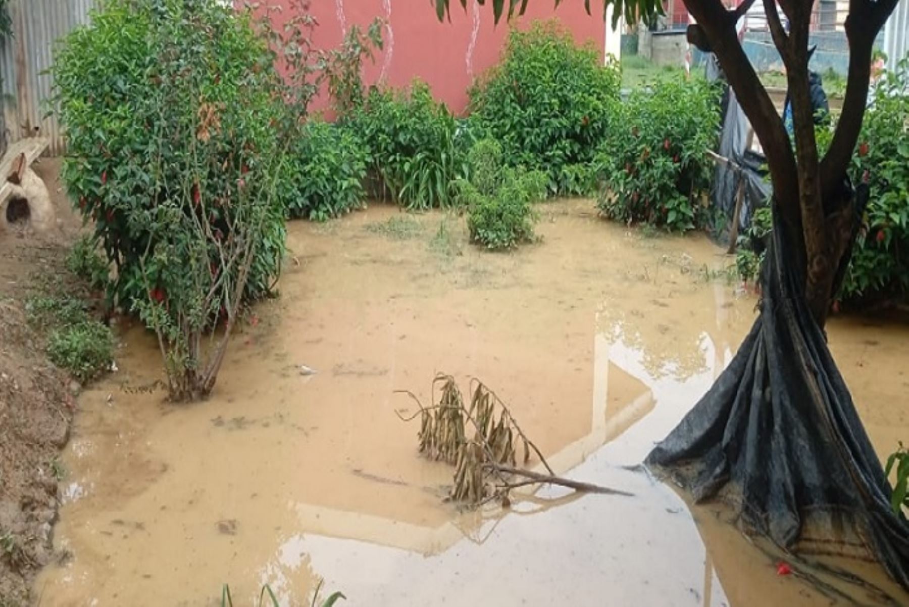 Hay 598 distritos de la costa norte y sierra en riesgo por fuertes lluvias